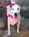 Lola 