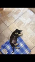 Lucy