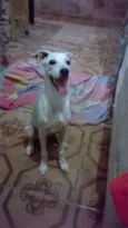 Kiara