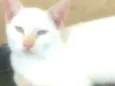 Tony 