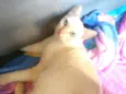 Tony 