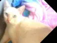Tony 