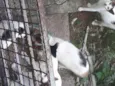 não tem 