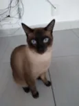 Mel