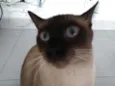 Mel
