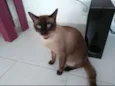 Mel