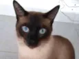Mel