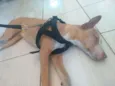 não sei