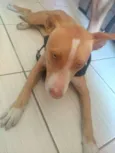 não sei