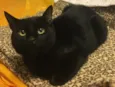 MIRÓ