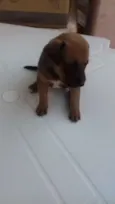 Kika