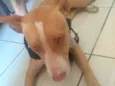 não sei