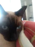 Ursinho e floquinho 