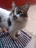Bella