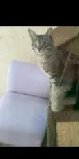 Mike