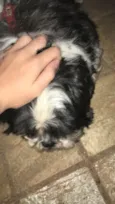 Ted