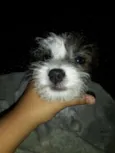Cidinha