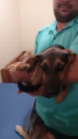 Jade e Jasmim