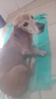 Spike