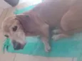 Spike