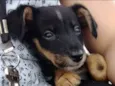 Não tem nome