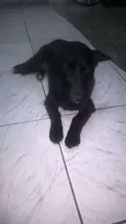 tequila