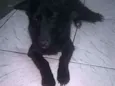 tequila