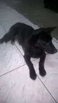tequila
