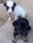 Nina e july