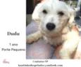Dudu Pequeno