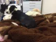Maggie