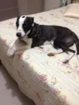 Maggie