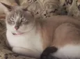 Olivia