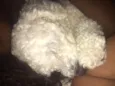 Jake