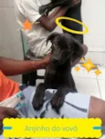 Dikise e Brown