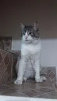 Boris