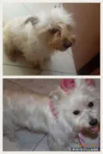 Samy