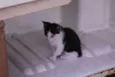 um, dois, três e 4