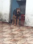Fusquinha
