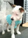 Neném