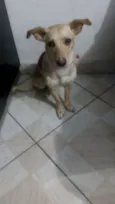 Mel
