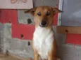 Princesa