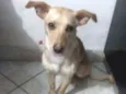 Mel