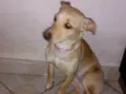 Mel
