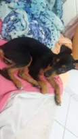 Belinha