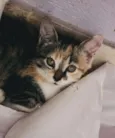 Wanda