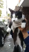 GABRIEL
