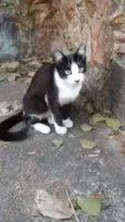 GABRIEL