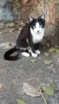 GABRIEL