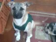 Vitinho